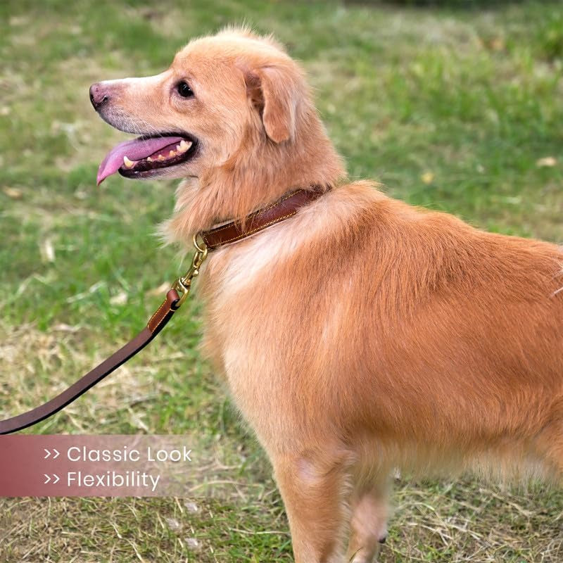 Leather Dog Collar for Small Medium Large Dog - Soft Padded Puppy Collars, Classic Heavy Duty Dog Collar Rust Proof Metal Buckle Dog Collar, (Brown, L) Fits 18, 19, 20 & 21 Inches