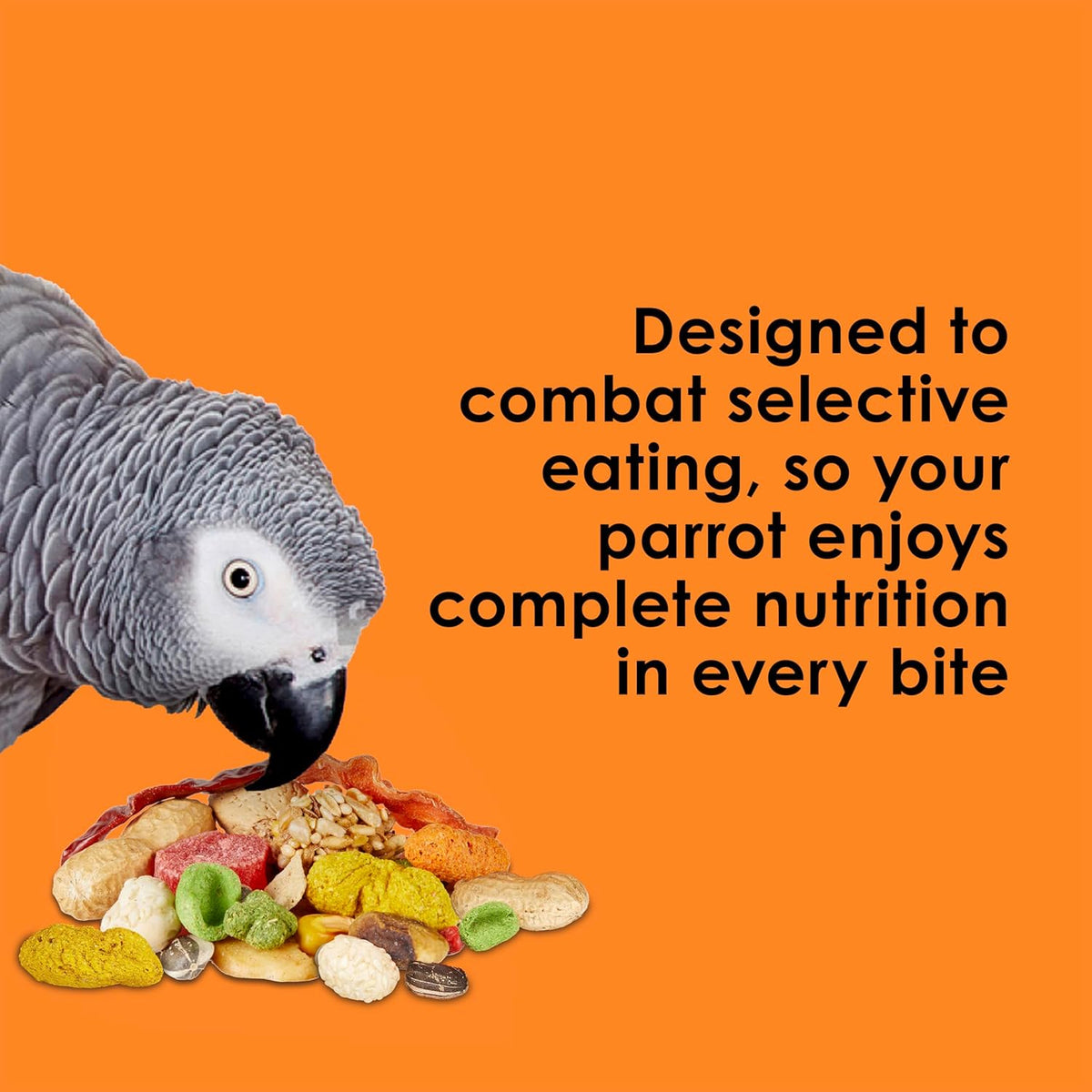 Kaytee Fiesta Parrot Food for Large Birds, 2.5 Pounds