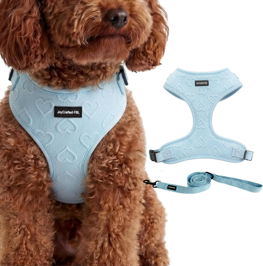 No Pull Dog Harness & Leash Set with Cute Heart Print, Soft Padded, Small