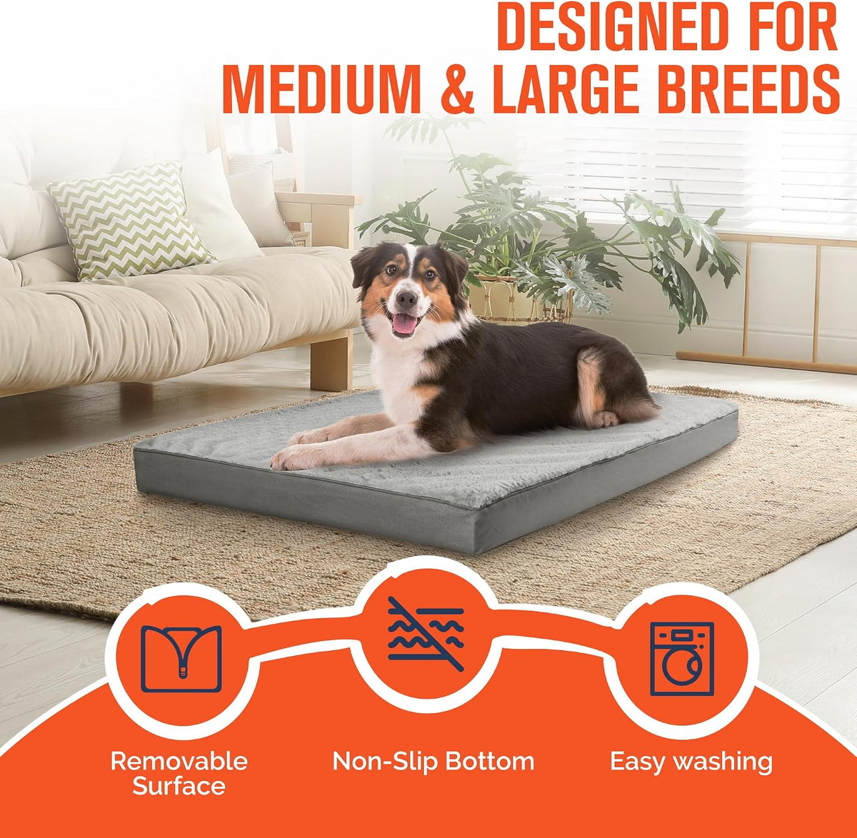 Simple Trending Orthopedic Dog Bed for Large Dogs with Removable Cover