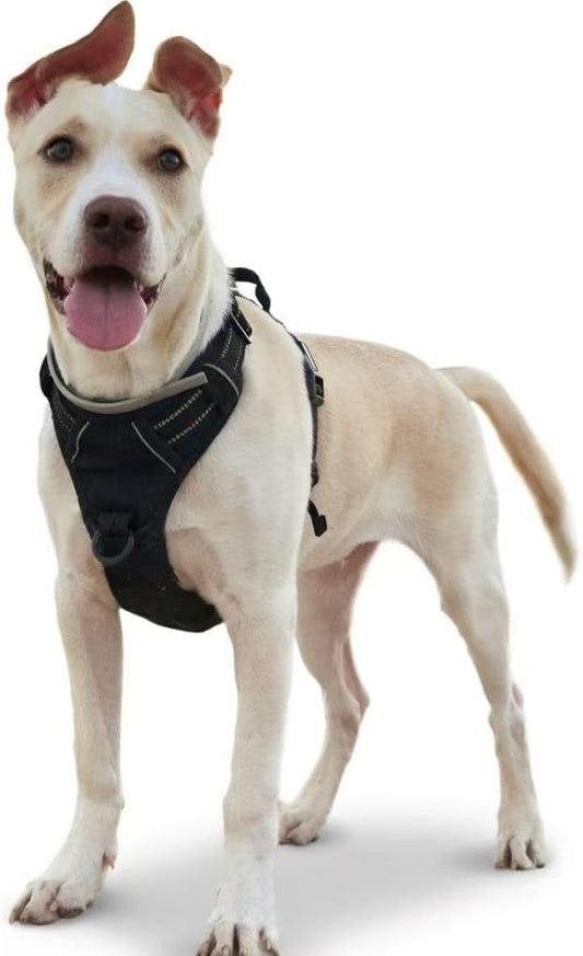 Oktreat No Pull Dog Harness for Large Medium Small Dogs, Adjustable Padded Dog Vest Harness with Front Clip and Quick Release Buckle, No Choke Y Design Pet Harness for Puppy Training and Walking.