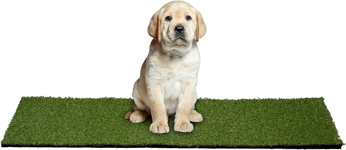 Garland Rug Outdoor Artificial Grass Puppy Pad – 24" X 48" Non-Toxic, Realistic Turf with Drainage Holes & Easy-Clean Design, Perfect for Patios & Backyards