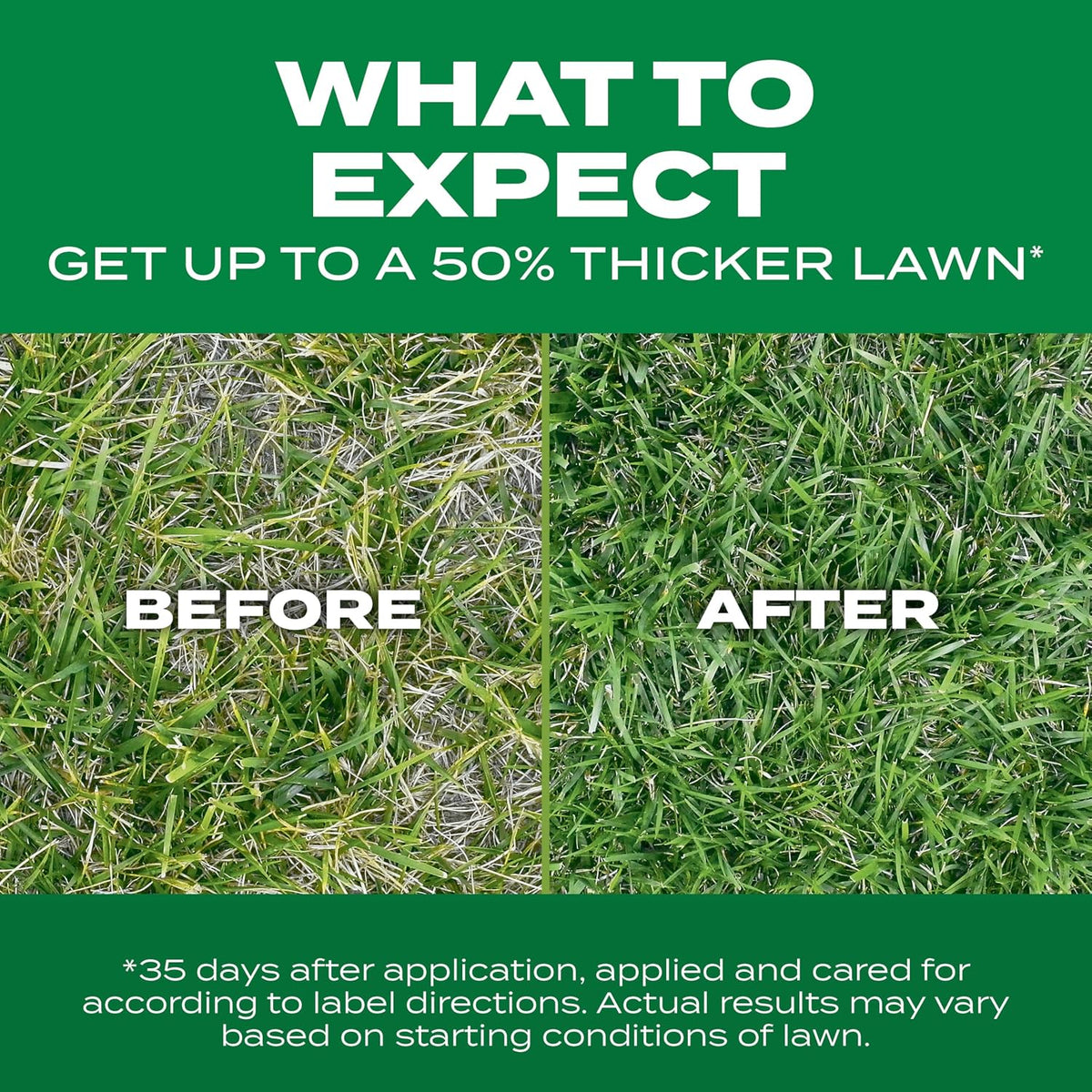 Scotts Turf Builder THICK'R Lawn Tall Fescue Mix, 12 Lb.