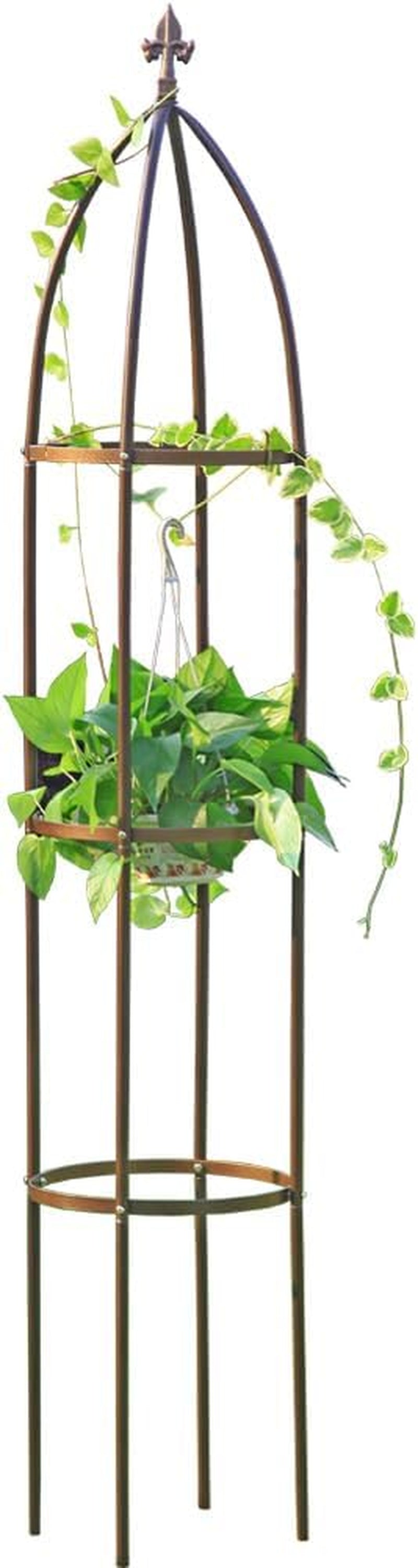 100% Metal Garden Obelisk Trellis Heavy Duty 6.3 Ft Tall for Climbing Vines