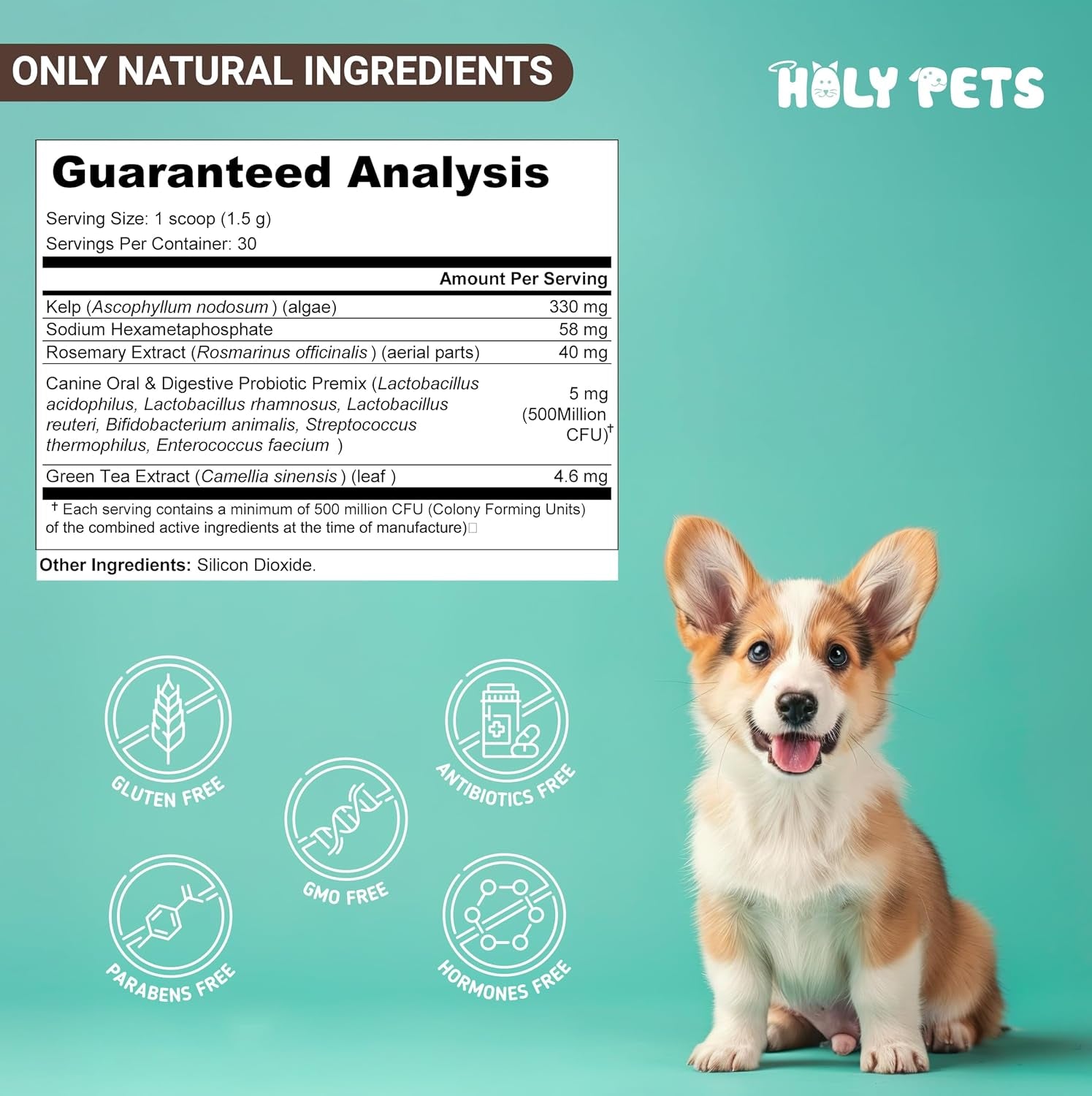 Dog Breath Freshener & Dental Powder for Teeth Cleaning – Plaque off and Tartar Support for Dogs with Natural Herbal Blend & Postbiotics for Total Canine Oral Care (45G)