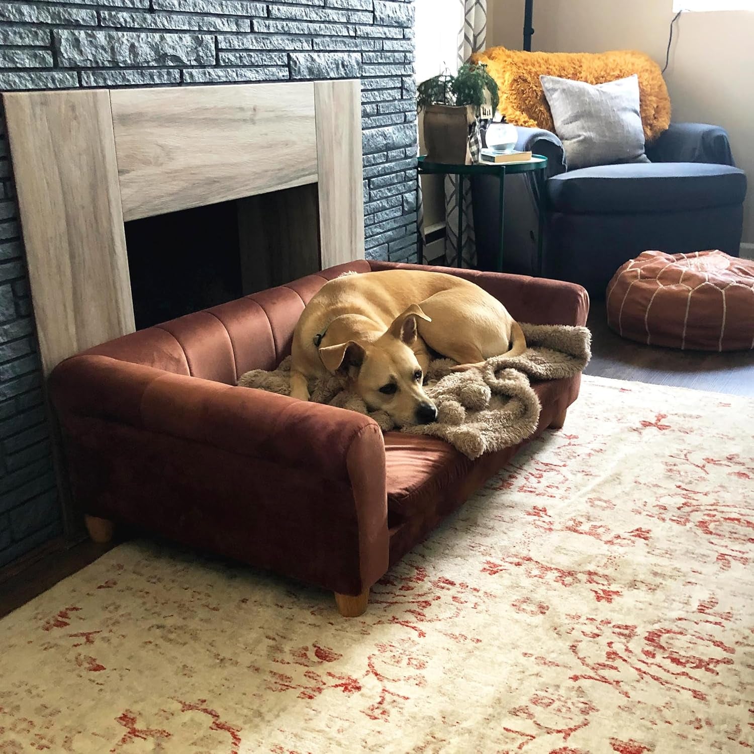 CRITTER SITTERS 42-In. Elegant Brown Faux-Velvet Rectangular Dog Sofa for Medium and Large Dogs, Elevated Plush Dog Couch