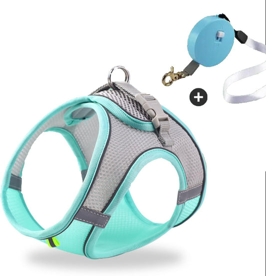 Retractable Leash and Harness for Small Pet, Lightweight, Handsfree Clip Cat Harness with Retractable Leash for Puppy, Compact, Cute (80Inches/15 Lbs)