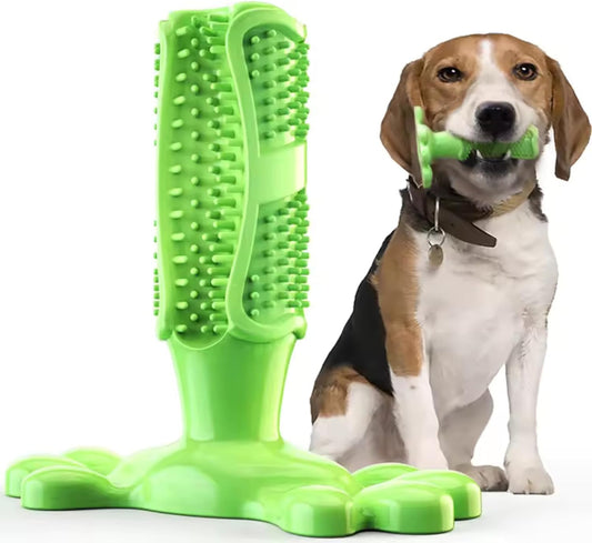 Dog Chew Toy Toothbrush Stick for Aggressive Chewers, Green, Medium Size