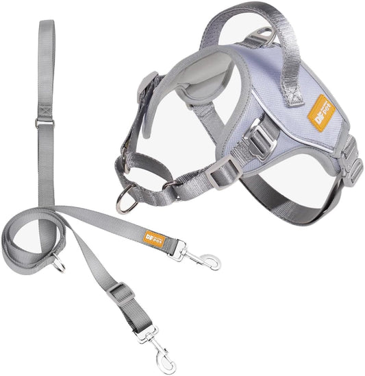 DF No Pull Martingale Dog Harness and Leash Set Silent Metal Buckle, Front Clip Reflective Harness, Adjustable Fit & Handle for Easy Walking & Training, Gray, 1", Front Chest 19.7"-25.2"