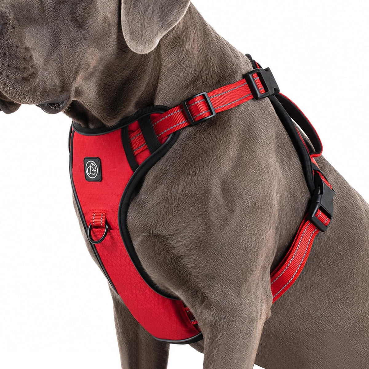 EVERKING Dog Harness with Handle, Front Clip for Medium Large Dogs