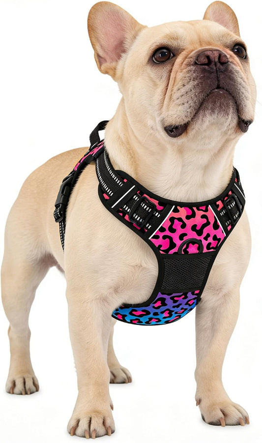 Rnivvi No Pull Dog Harness, Cute Leopard Reflective Small Sized Puppy Kitten Harness, Adjustable Soft Padded Vest for Small Dogs, Cats, Heavy Duty Pet Vest with Easy Control Handle for Walking, Neon