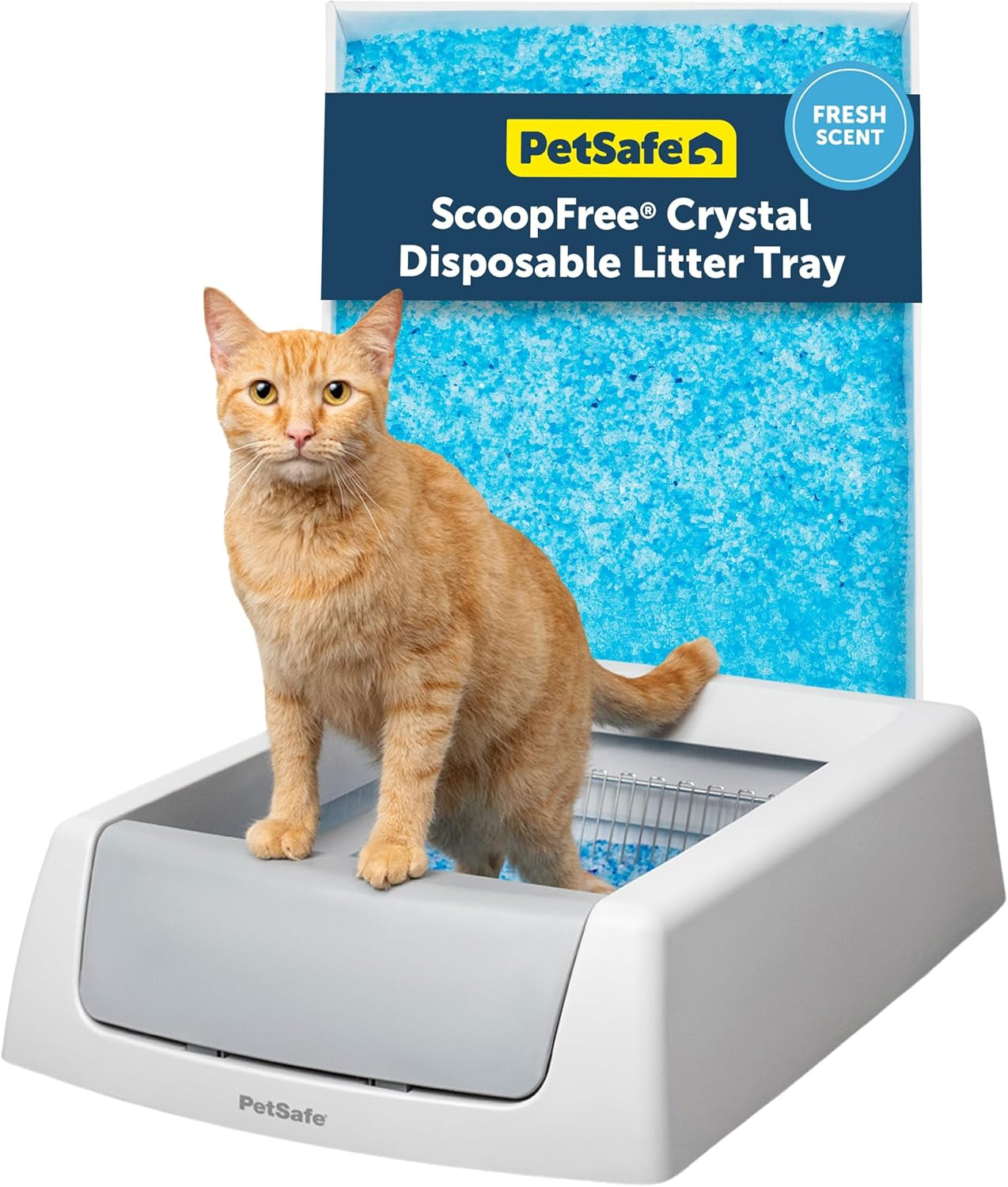 Petsafe Scoopfree Crystal Classic Self-Cleaning Litter Box System – Automatic Cat Litter Box - Advanced Odor Control – Includes Disposable Crystal Litter Tray (PAL00-17296)