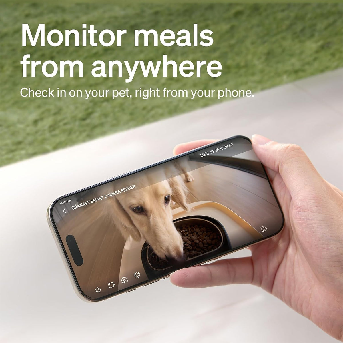 PETLIBRO Automatic Cat Feeder with Camera, 1080P HD Video & Night Vision