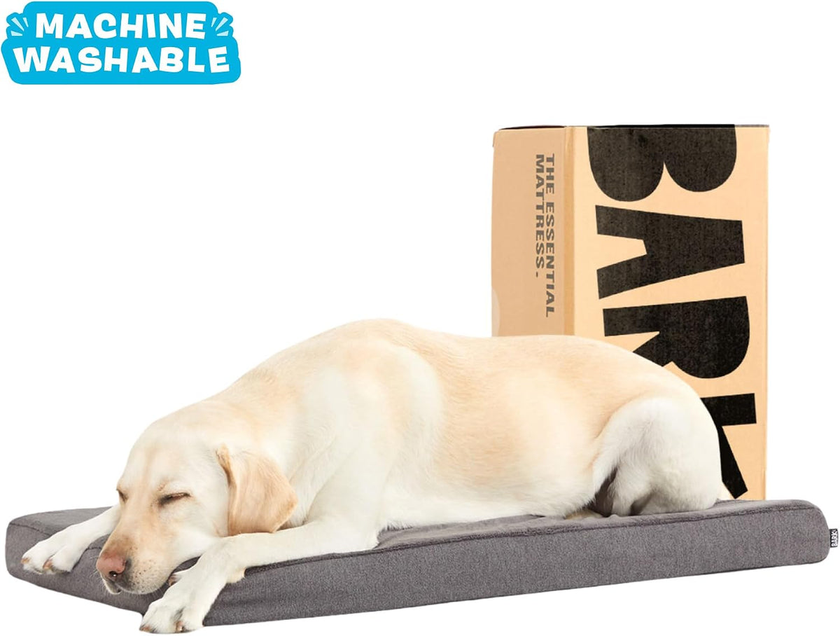 Barkbox Orthopedic Dog Bed - Large