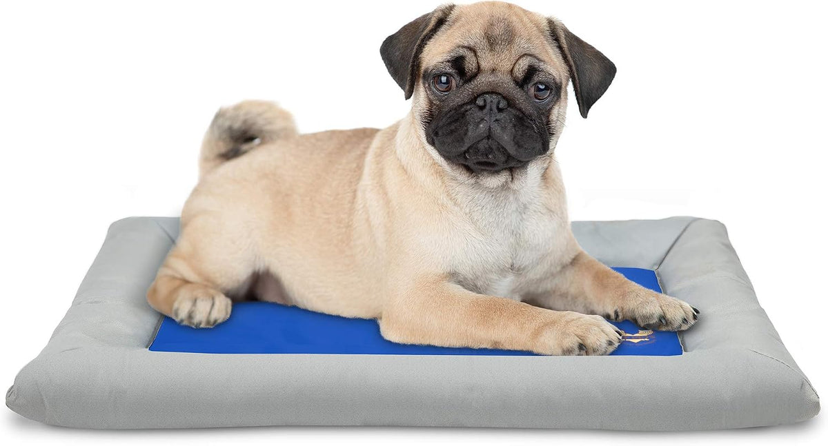 Arf Pets Dog Self Cooling Bed – Solid Gel Based Self Cooling Mat for Pets