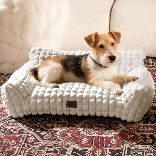 Cute Dog Beds for Small/Medium Dogs/Cats, Washable Dog Sofa Faux Rabbit Fur Pet Bed, Supportive Dog Couch with Removable Zipper Cover for Indoor Cats/Dog, 30 X 20 X10Inch, off White