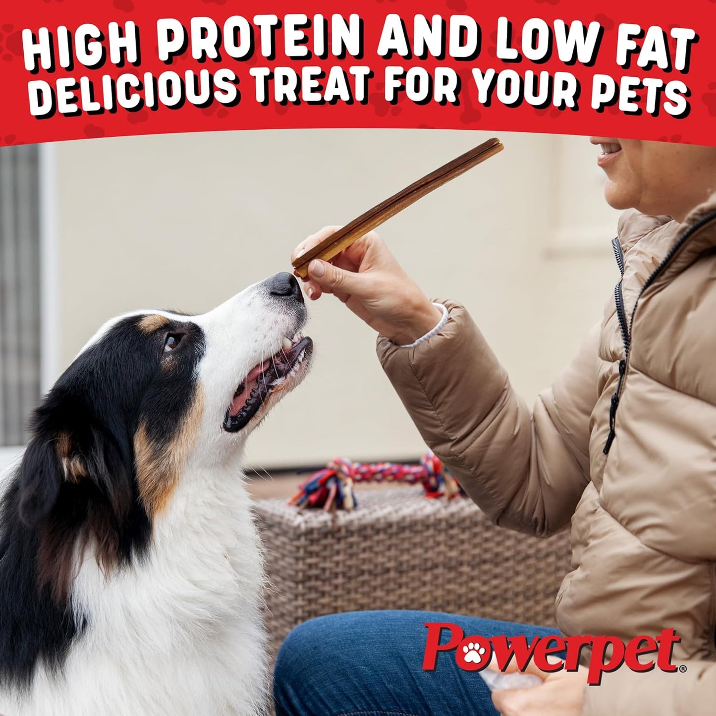 Powerpet 100% Natural Bully Stick - High Protein, Low Fat, Healthy Dog Treats, Long-Lasting Dog Chews, Easily Digestible, Cleans Teeth, Low Odor, for All Breeds & Sizes, 12" - 5 Count