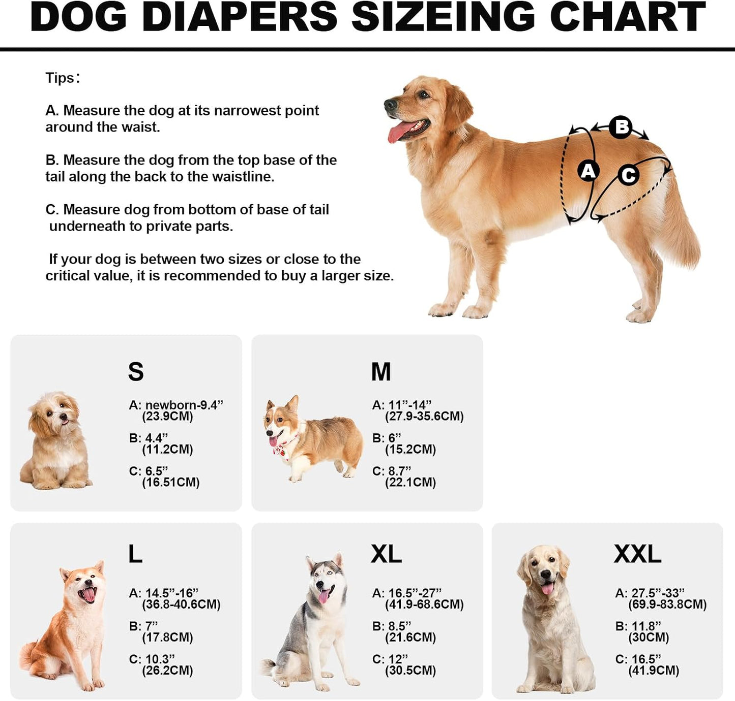 Reusable Dog Diapers Female Medium Washable, Premium Doggie Diaper for Dogs, Pack of 3, Highly Absorbent Dog Diaper for Heat, Incontinence and Puppy Training(M)