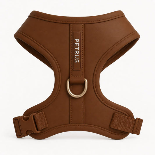 Premium No-Pull Dog Harness Soft Neoprene & Breathable Mesh Vest with Front & Back Clip D-Rings Adjustable Lightweight Walking Harness for Puppies, Small & Medium Dogs (Bronze Brown Gold, XXS)