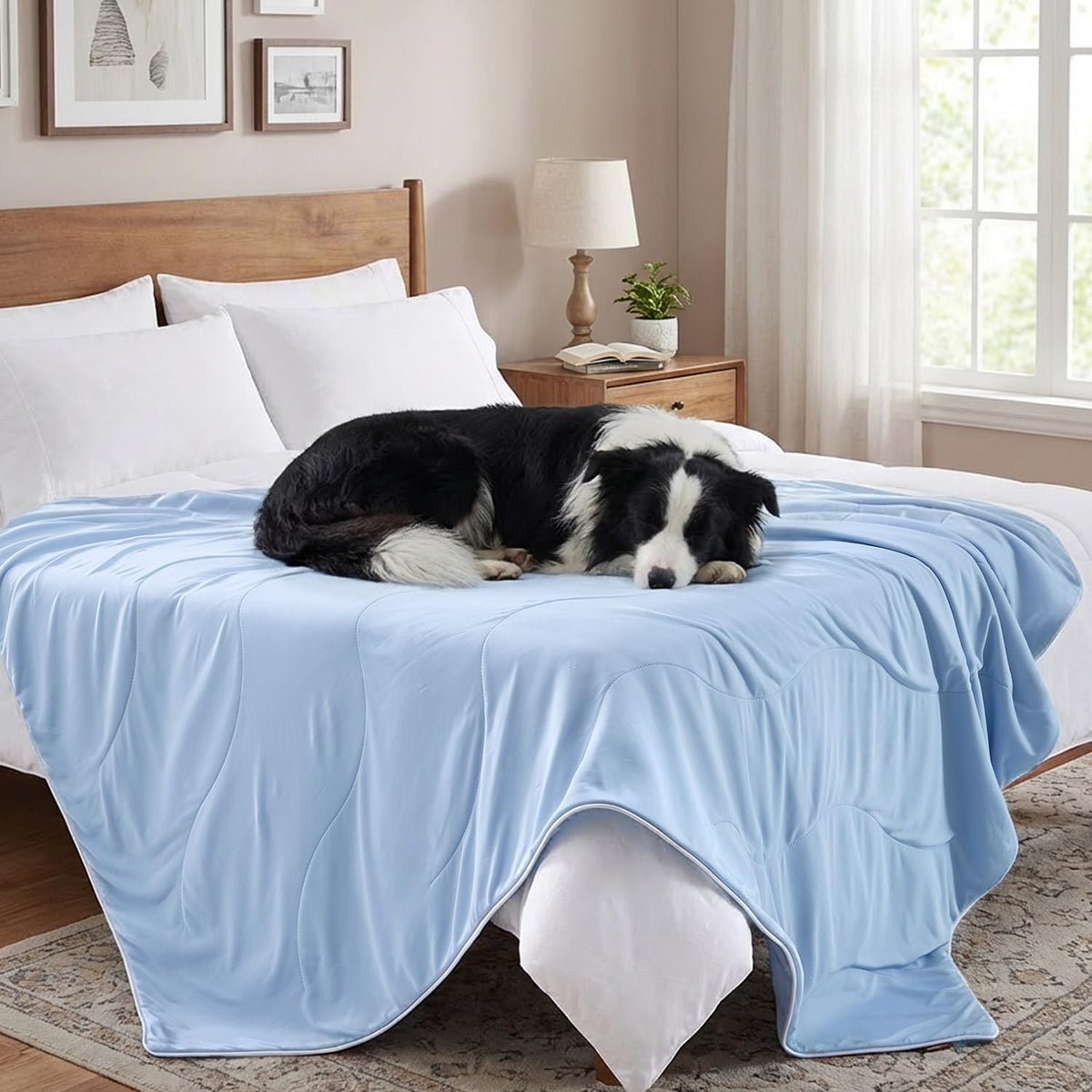 ZOMISIA Breathable Cooling Blanket for Large Dogs, Premium Pet Cooling Mat
