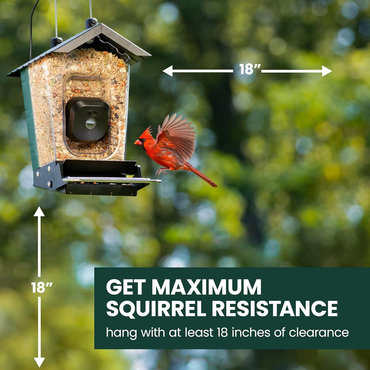 Perky-Pet Solar Powered Smart Bird Feeder with Camera, 3.2L Capacity
