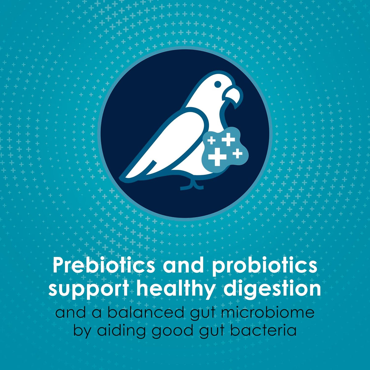 Kaytee Forti-Diet Pro Health+Safflower Nourish+Protect Cockatiel Food