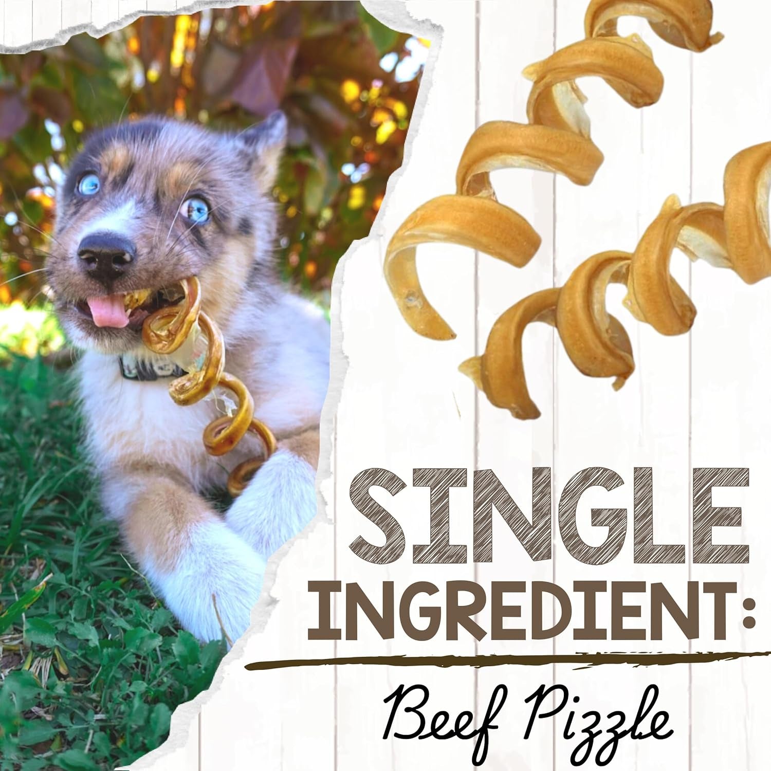Nature Gnaws Bully Stick Springs for Dogs 7-8" (6 Count) - Long Lasting for Aggressive Chewers - Natural Curly Beef Dog Chew Bones - Rawhide Free