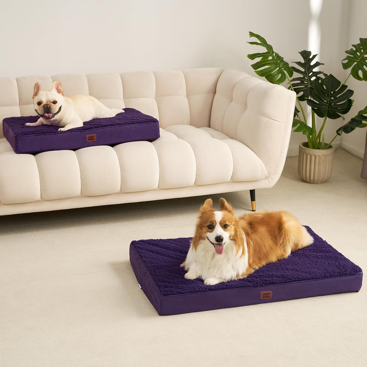 EHEYCIGA Orthopedic Dog Bed Large with Removable Washable Cover, 35X23