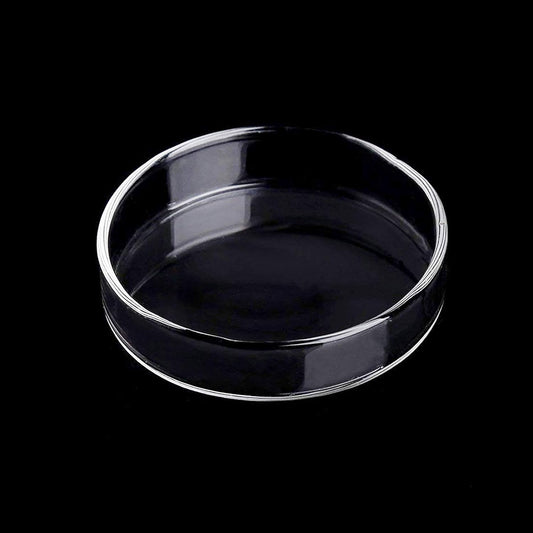 WEAVERBIRD 80Mm Aquarium Shrimp Feeder Dish Glass Fish Tank Feeding Bowls round Clear Dishes Tray