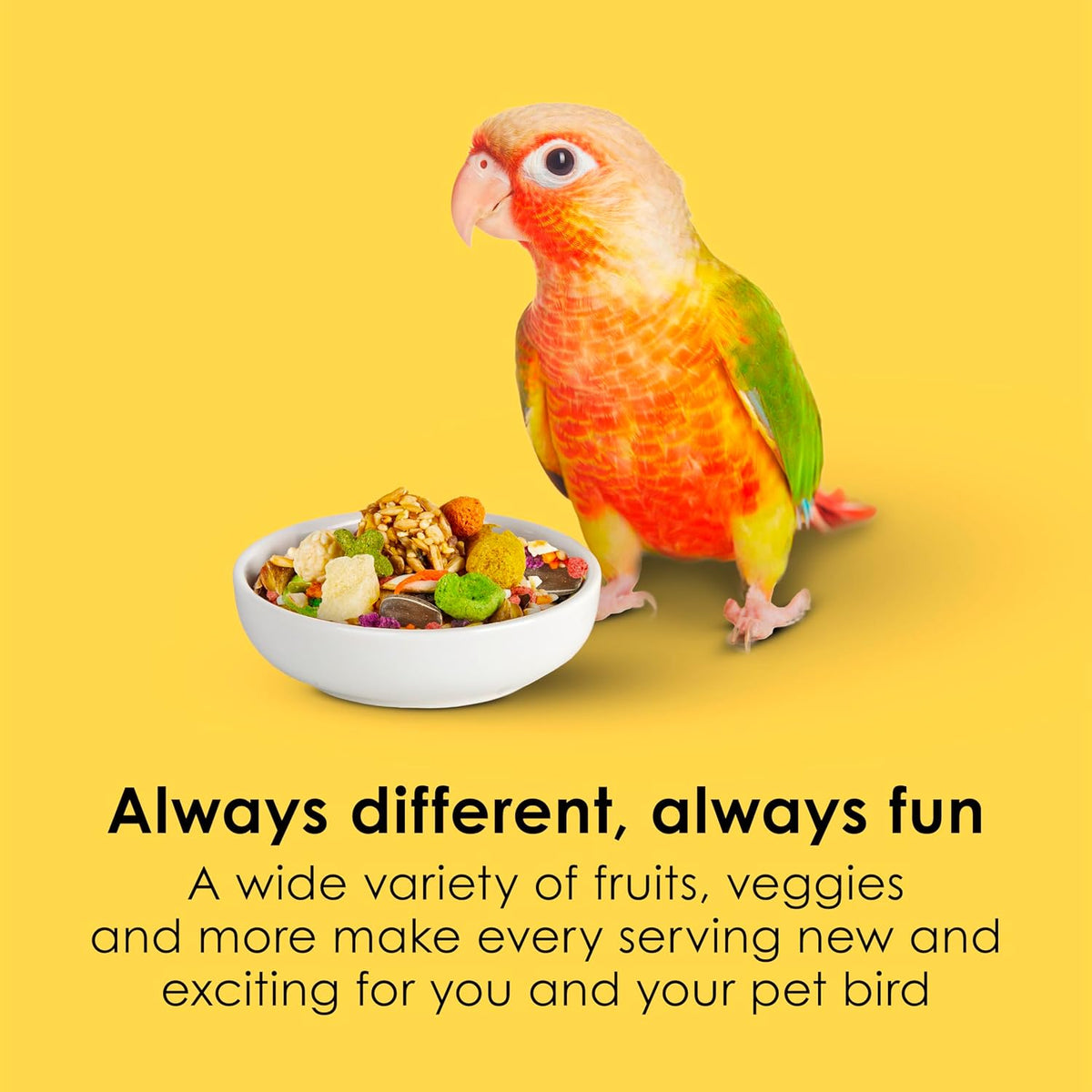 Kaytee Fiesta Conure Bird Food, Nutritious Fun Blend, 4.5 Pounds