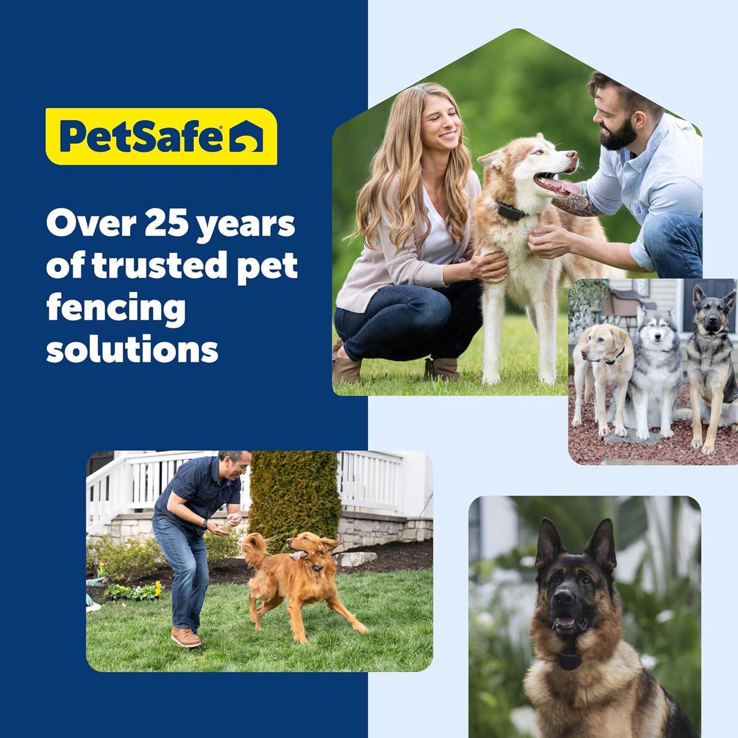 Petsafe Stay & Play Wireless Pet Fence Receiver Collar Only for Dogs and Cats, Waterproof and Rechargeable, Tone and Static Correction - from the Parent Company of INVISIBLE FENCE Brand