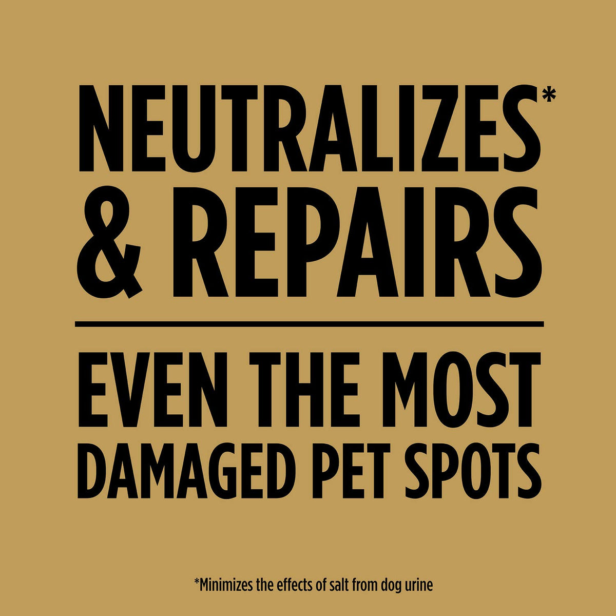 Scotts EZ Seed Dog Spot Repair Sun and Shade, 2 Lbs.