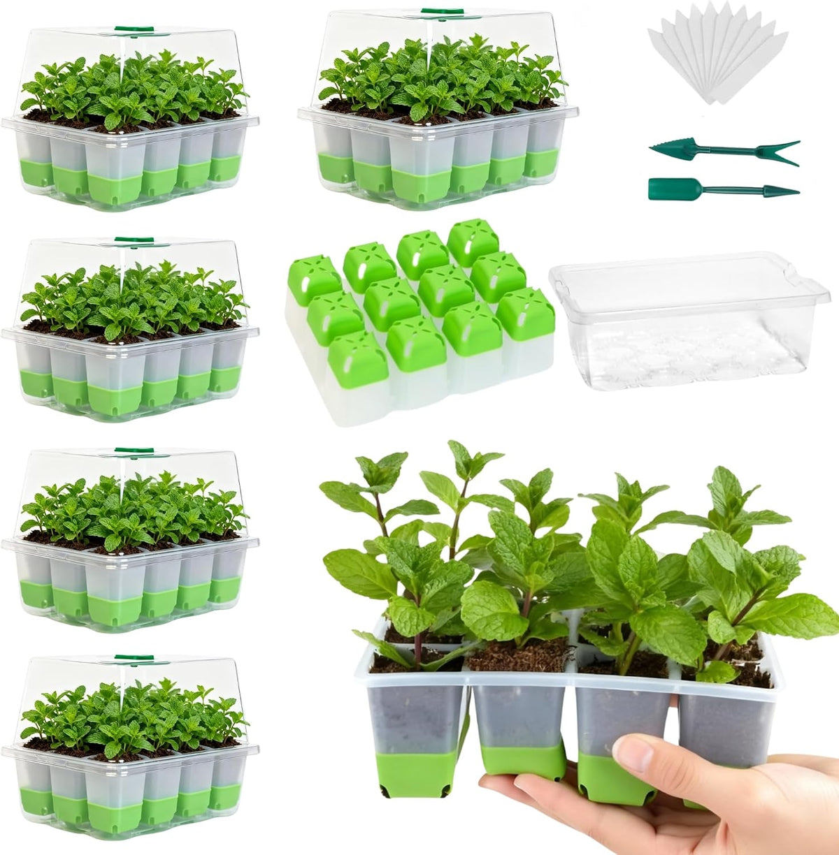 5 Pack 60-Cell Silicone Seed Starter Trays with Humidity Dome