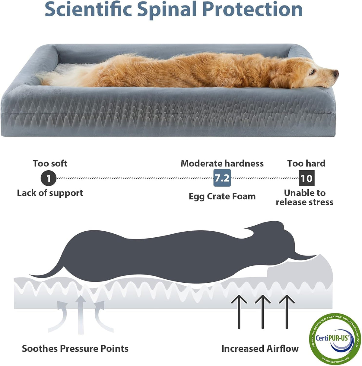 WNPETHOME XXL Extra Large Orthopedic for Senior Dog Bedcomfy Sleeping