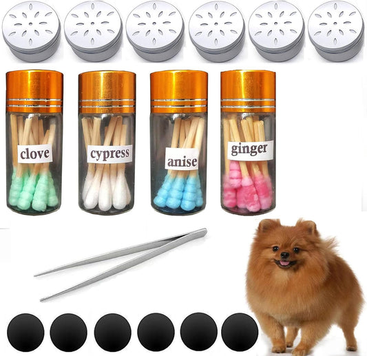 Dog Scent Work Starter Kit Available in Anise, Birch, Clove Vetiver Flavour Scent Training Kit, Nose Work, Dogs Scentwork Pure Oil-Jars Sets (4 Jars+6 Magnetic Box)