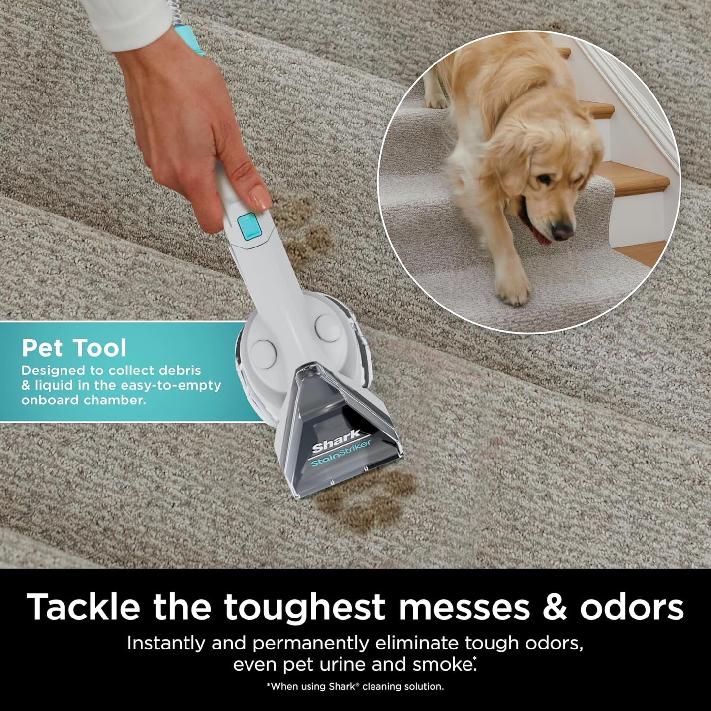 Shark Stainstriker Cleaning Solution Bundle for Portable Cleaners, Carpet and Area Rug Formula, Instantly Eliminates Odors, Includes 32 Oz OXY Multiplier and 16 Oz Deep Clean Solution, PXCMBUNDLE