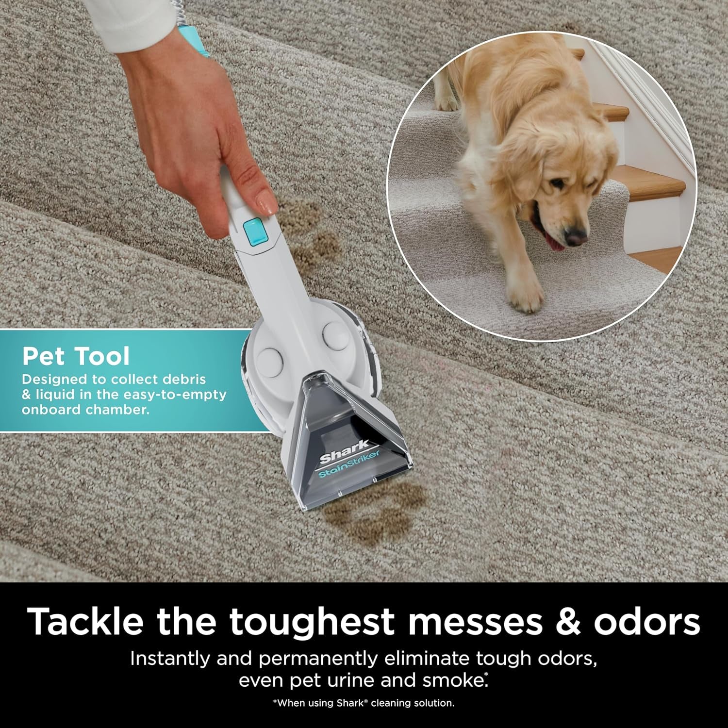 Shark Stainstriker Cleaning Solution Bundle for Portable Cleaners, Carpet and Area Rug Formula, Instantly Eliminates Odors, Includes 32 Oz OXY Multiplier and 16 Oz Deep Clean Solution, PXCMBUNDLE