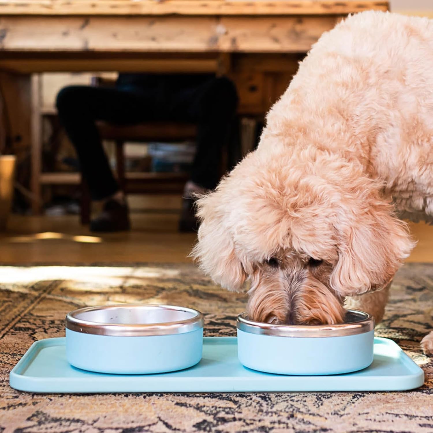 Trot Pets Premium Dog Bowls | Stainless Steel Bowl Set for Small, Medium, or Large Dogs | Non-Slip Food and & Water Slow Feeder | Durable, Bpa-Free, Anti-Skid, Dishwasher Safe (Cobalt, Small)