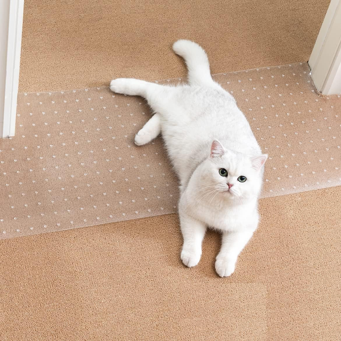 Uross Carpet Protector for Pets - Cat Carpet Protector for Doorway, anti Scratch under Door Cat Scratch Protector Mat, Easy to Cut Plastic Scratch Stopper Guard Carpet 3.6FT*2PCS