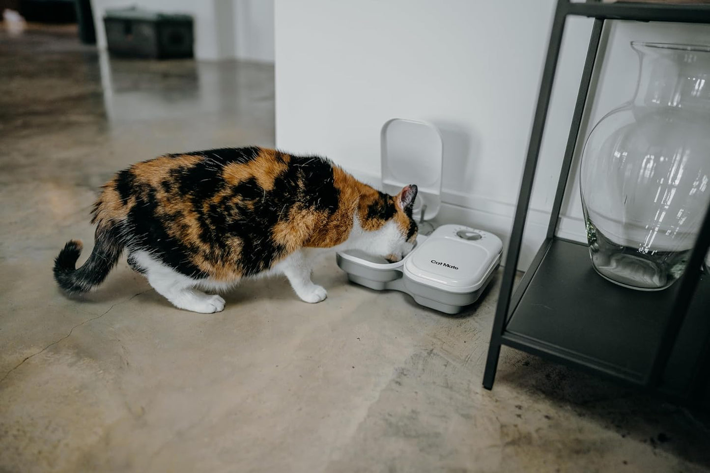 Cat Mate Automatic Feeder with Ice Pack for Wet Food - 2 Meal Timed Pet Feeder, No Wifi or App, Portion Control for Cats and Small Dogs, 14 Oz Capacity, Battery Operated