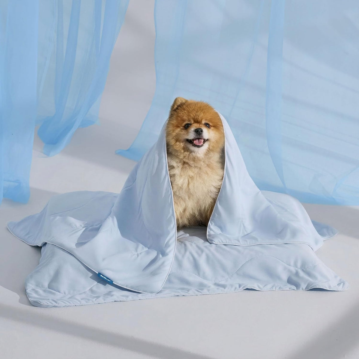 Bedsure Breathable Lightweight Cooling Blanket for Small Dogs, Q-MAX>0.4