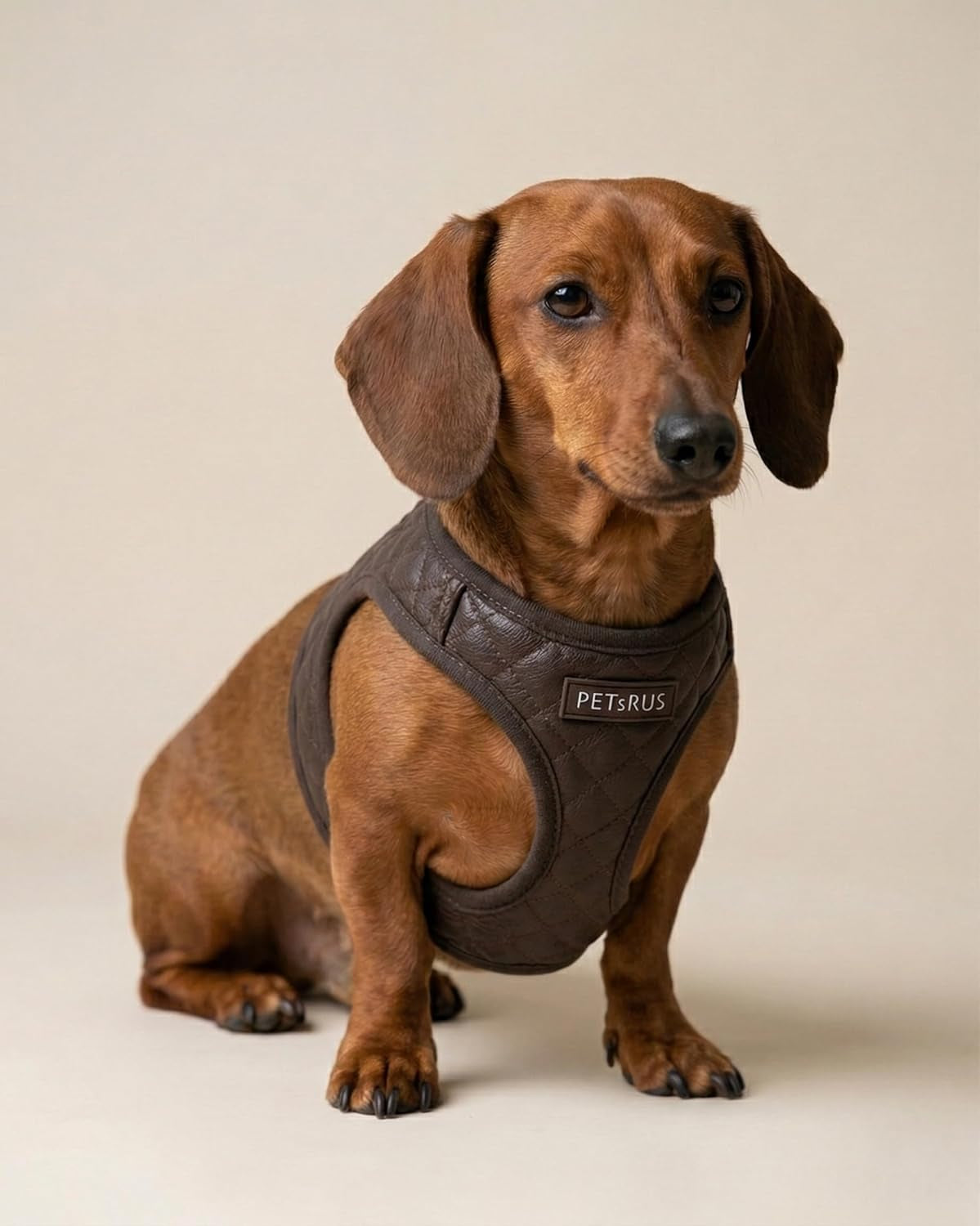 Step in Dog Cat Harness Choke Free Escape Proof Pet Vest Quilted Vegan Leather Breathable Mesh Padded for Small Medium Dogs (Chocolate Brown, Large)