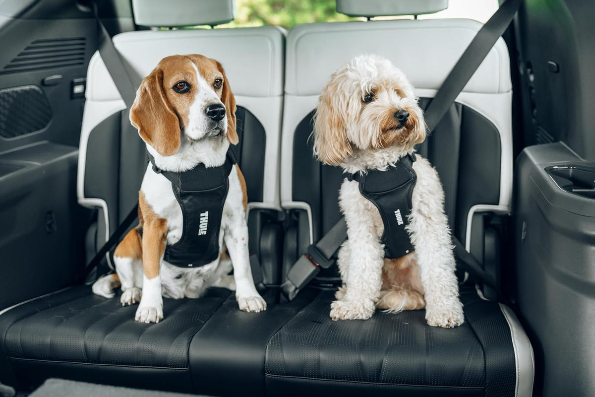 Thule Cappy Dog Harness L, Seatbelt Passthrough, Leash Loop, Step-In Design