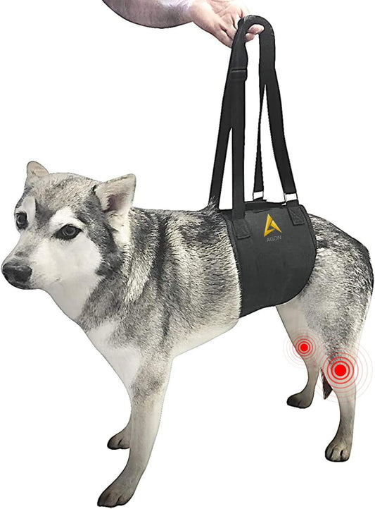 AGON Canine Dog Sling Carrier Support Back Legs Hip Knee Hock Joint Harness to Help Lift Dogs Rear Aid and Old K9 Cruciate (Small, Black)