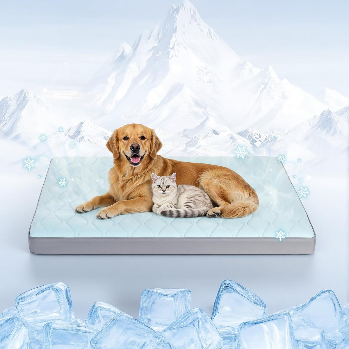 Q-Max>0.4 Cooling Dog Bed, 44" X 32" Cooling Bed for Dog Large, Blue