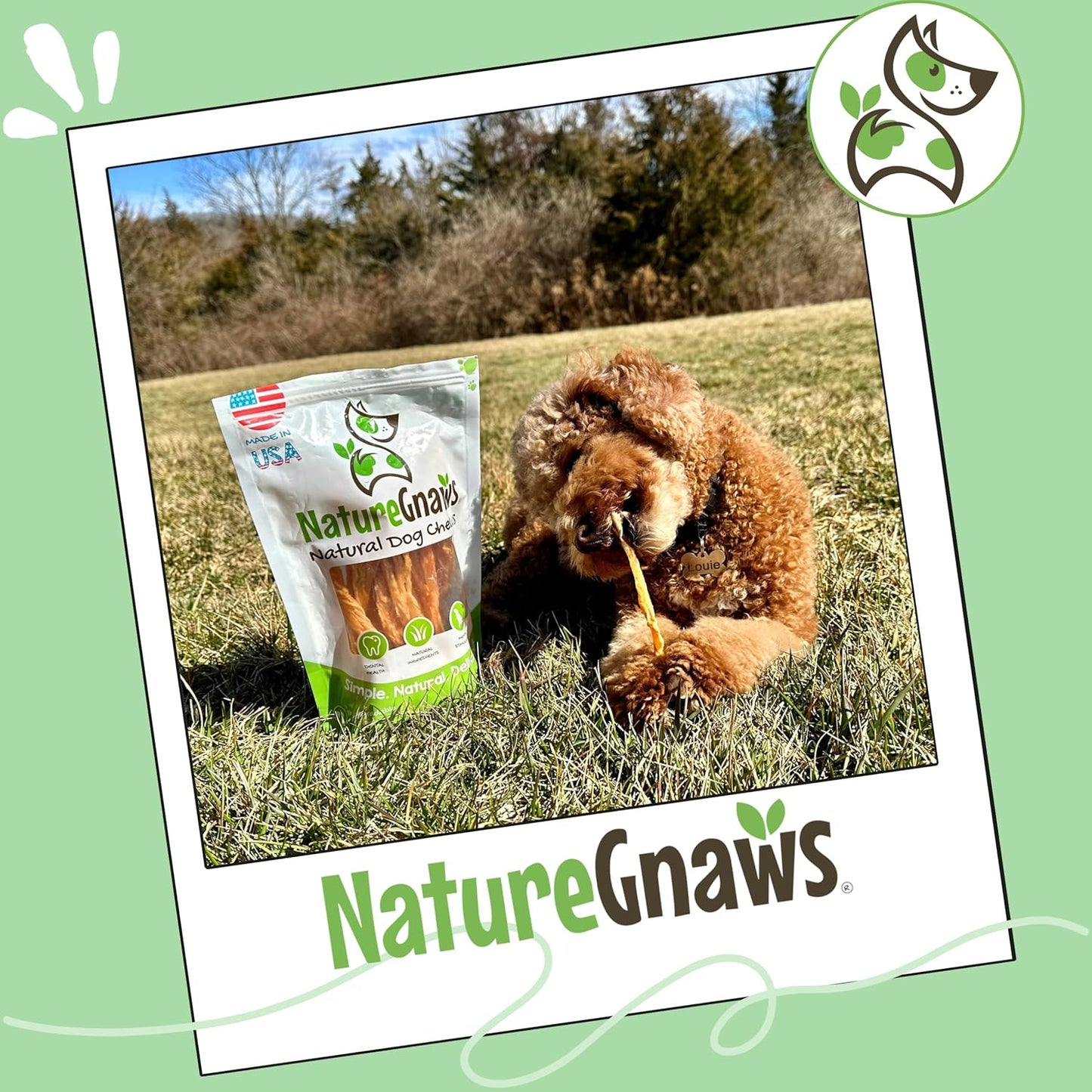 Nature Gnaws USA Turkey Tendons for Dogs (4Oz) - Delicious Grain Free Reward Snack for Small, Medium & Large Breeds - Premium Natural Dog Chew Treats