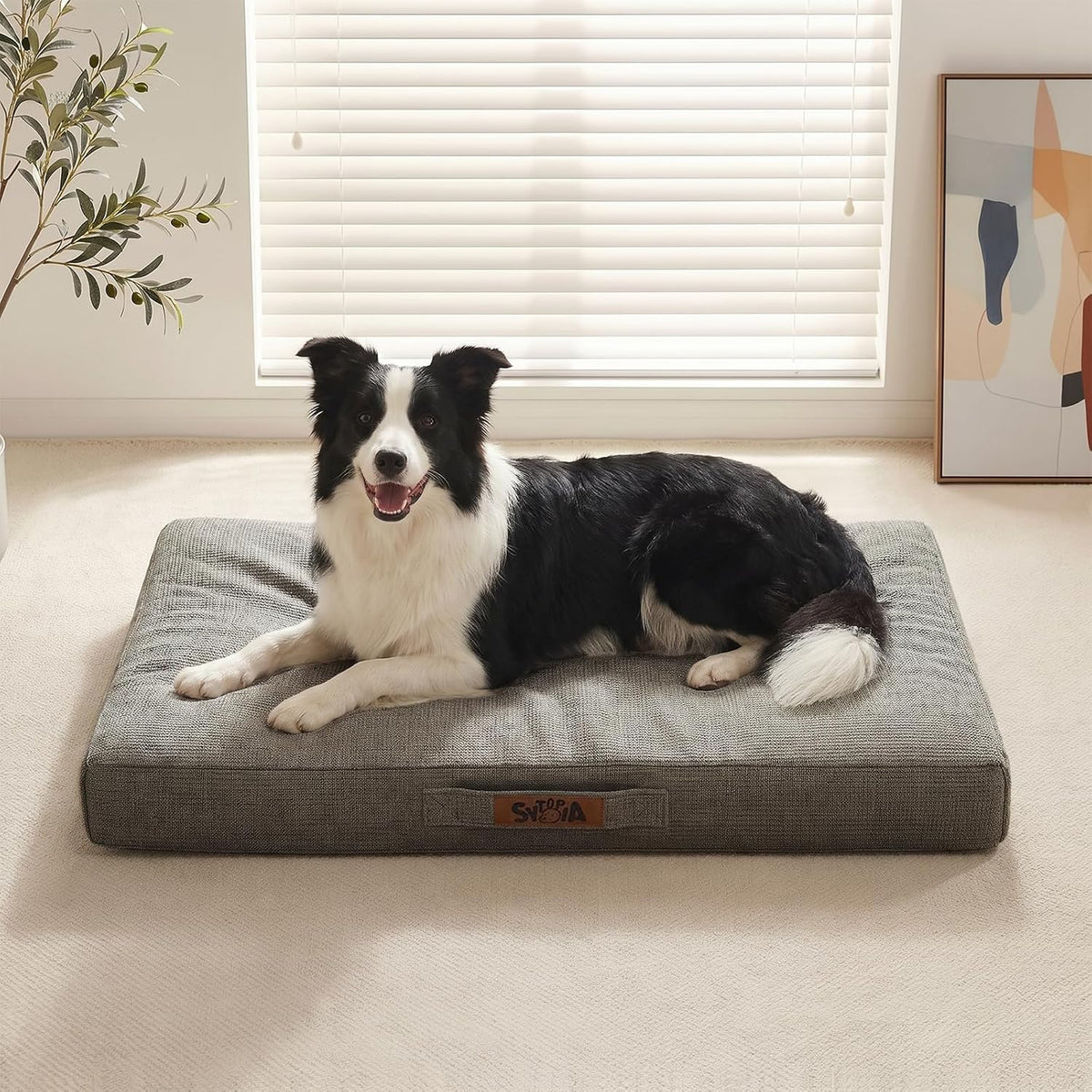 Sytopia 36" XL Indestructible Dog Bed, Orthopedic Waterproof Chew Proof Dog Bed, Chew-Resistant Dog Pad, 55 Lbs Capacity for Extra Large Dogs, Indoor & Outdoor Use, Dark Grey