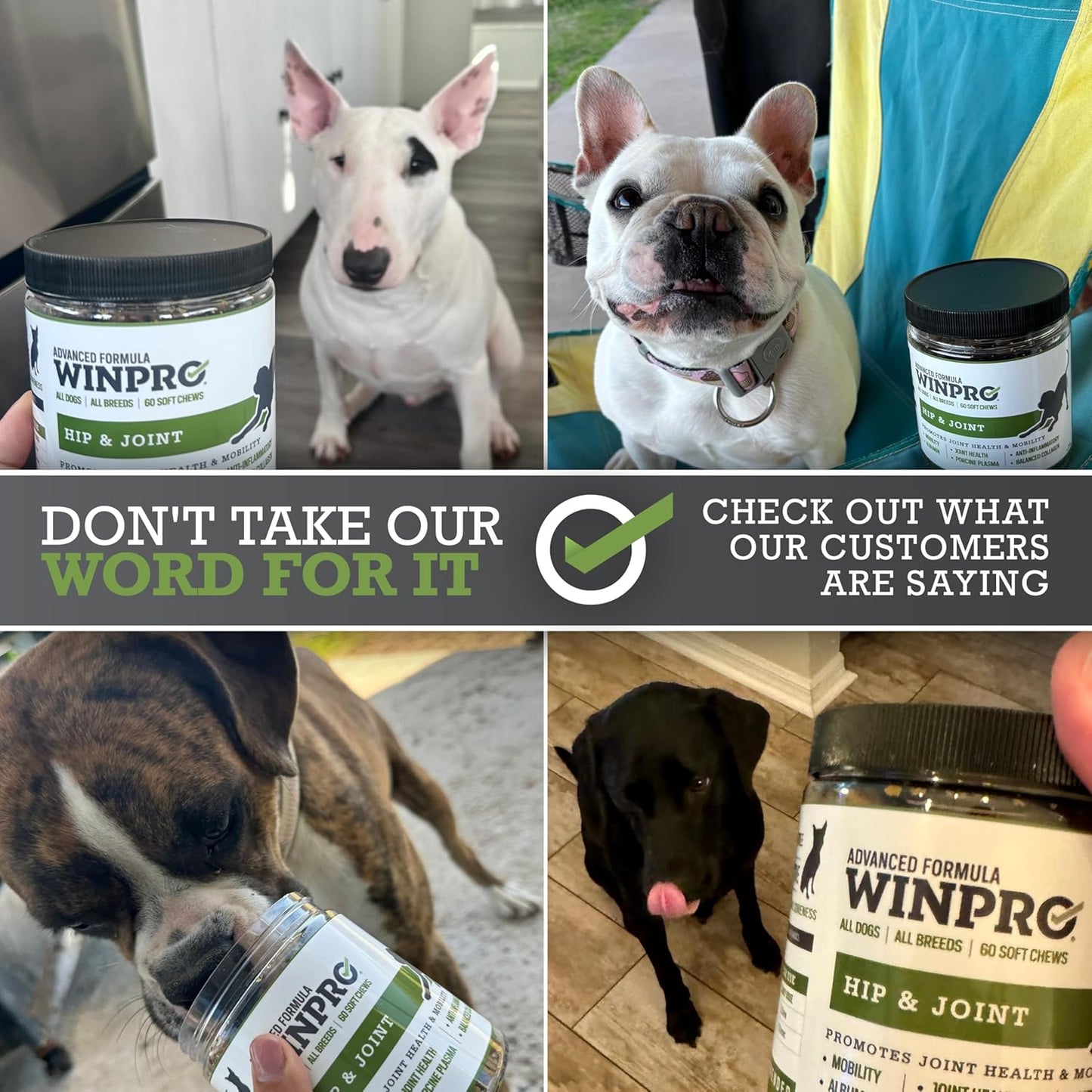 WINPRO Hip & Joint Supplement for Dogs - Plasma Powered Soft Chews for Joint Health & Mobility – Fast-Acting with Collagen & Natural Ingredients for Dogs of All Breeds – 60 Chews
