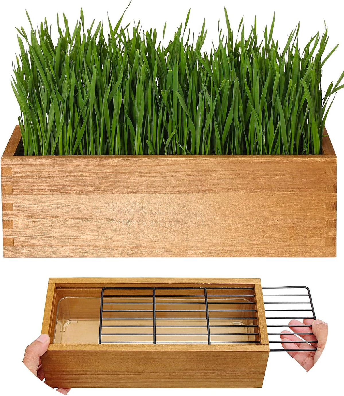 Wooden Cat Grass Planter (No Seeds Included) anti Digging Design