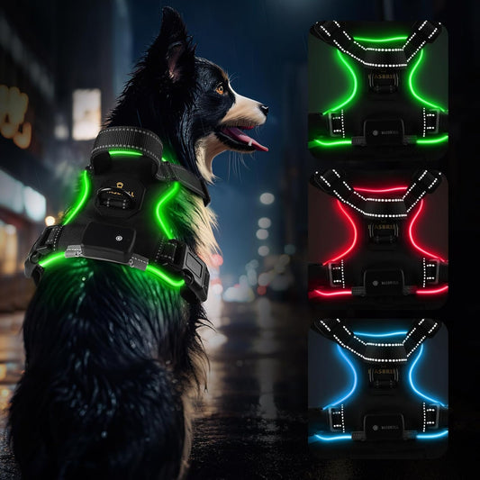 Light up Dog Harness - No Pull Led Dog Harness Rechargeable Glow Vest for Night Walking - Adjustable for Small, Medium, Large Dogs